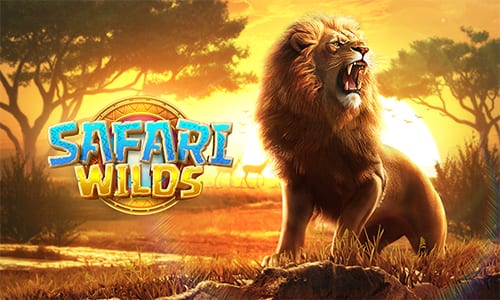 DISCOVER HIDDEN RICHES IN SAFARI WILDS! | Pocket Games Soft | Difference  Makes The Difference